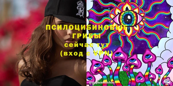 эйфоретик Аркадак