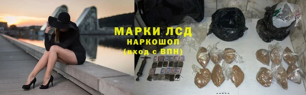 амф Арсеньев