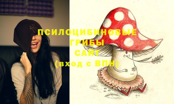 прущая мука Армянск